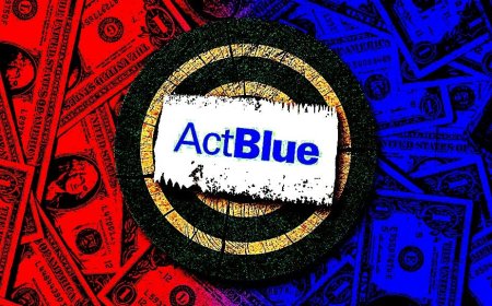 Shawn Taylor Act Blue Investigations Update