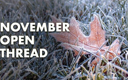 November Open Thread and Subscriber Exclusive Video (2025)