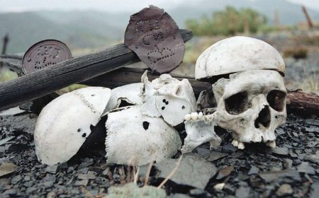 Victims of Communism Day - 2026