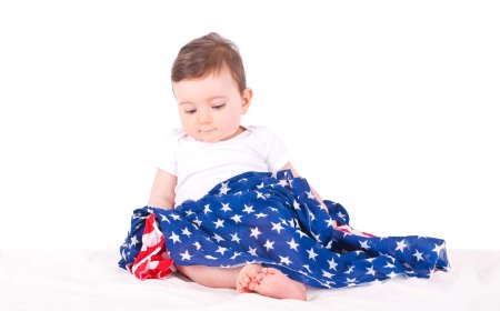 ImmigrationProf Blog Symposium on the Birthright Citizenship Oral Arguments