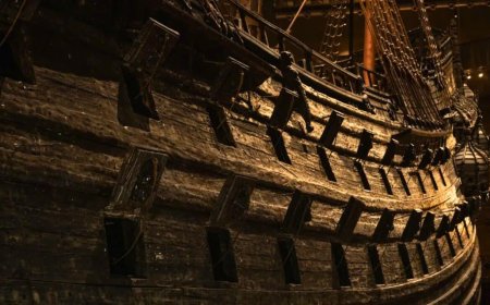 A 16th-Century Shipwreck Was Just Found Off Sweden’s Coast Still Intact Enough to Reveal Its Tree Rings