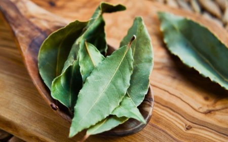 Why Mix Bay Leaves and Baking Soda: What It’s Good for and Why Thousands Use It at Home