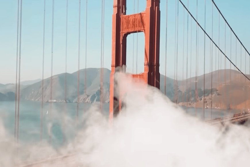 Operation Sea-Spray: The Secret Test of Biological Weapons on U.S. Citizens