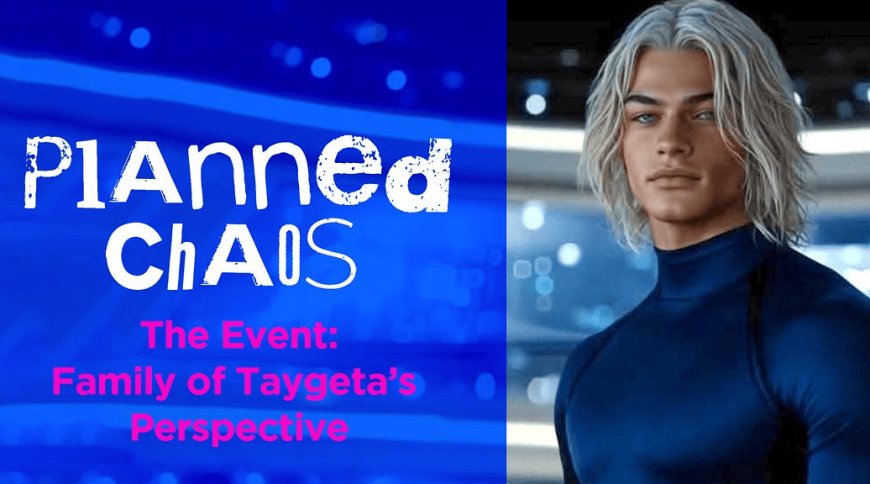 Planned Chaos:  Sheen Is Ready