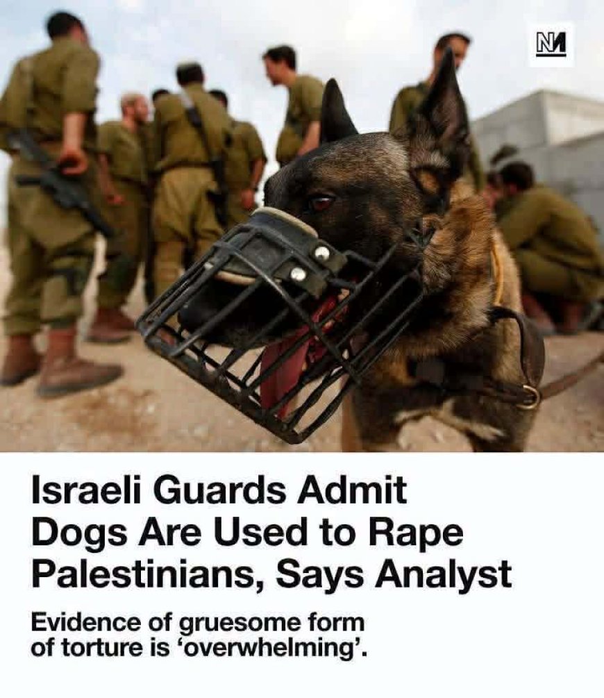 ‘I wished for death’: Sexual violence in Israel’s prisons is an ‘organized state policy’