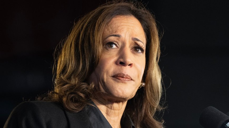 Saxophonist passes out sleeping during Kamala’s latest speech…