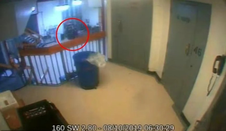 Dramatic moment prison guards find Epstein’s body is revealed for first time as staff seen sprinting from cell