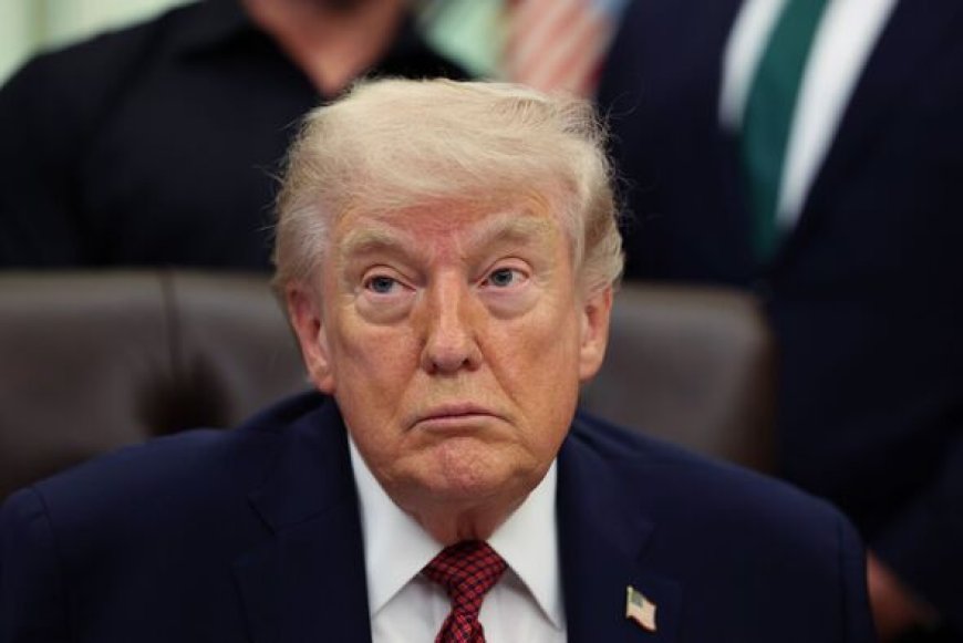 Trump's security accused of 'not even trying' in shocking hot mic moment before attack