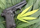 Supreme Court Rules Barring Guns From Marijuana Users Violates Second Amendment