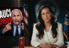 Gabbard Drops Fauci COVID-19 Receipts On Last Day: He Funded The Research, Cooked The Cover Story, Then Lied To Congress