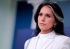 Gabbard spotlights Fauci, COVID-origin questions in final act as intelligence chief amid succession fight