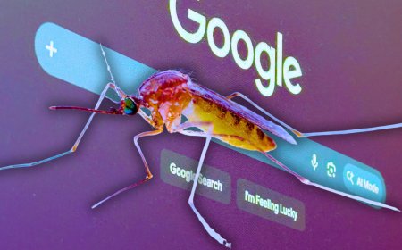 Google to Release 64 Million Bacteria-Infected Mosquitoes Across California and Florida Over the Next Two Years