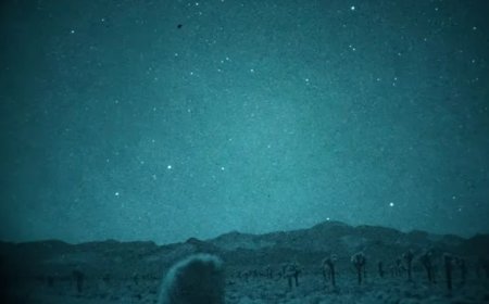 Area 51 Mystery Jet Caught On Thermal Camera Sparks Sixth-Gen Stealth Fighter Speculation