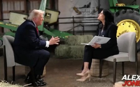 VIDEO: The Democrats Are Stealing The Election AGAIN