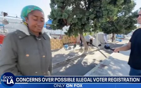Local Media Finds MORE Homeless In LA Saying They Were Offered Money, Cigarettes to Illegally Register to Vote