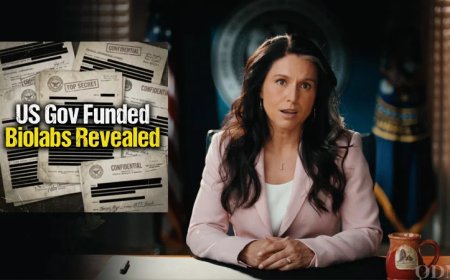 DNI Gabbard Releases Info on US Gov-Funded Biolabs In Ukraine