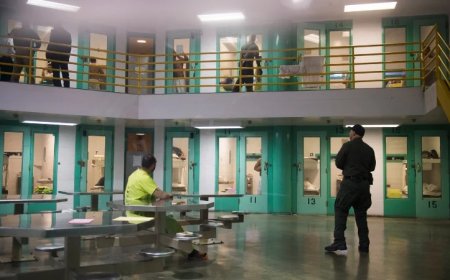 ICE Detention Numbers Slide