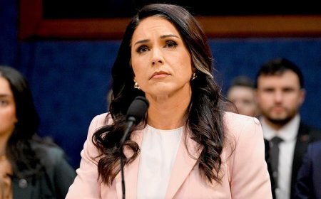 Gabbard says declassified biolab records validate concerns previously dismissed as misinformation