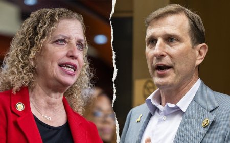 From Wasserman Schultz to Goldman, Democratic incumbents are fighting for survival