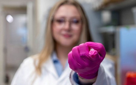 Scientists unveil 'living bandage' that could dramatically speed wound healing