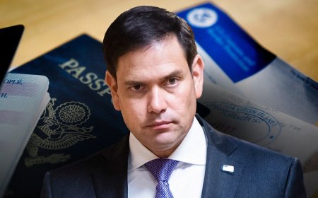 Trump admin puts alleged 'birth tourism' scheme on notice as expert delivers warning to hospitals