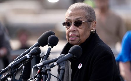 Dems pick potential successor to DC's congressional delegate after decades-long incumbency