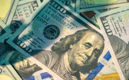 Top SPLC Official Gave $1.2 Million To Her ‘Informant’ Lover In Neo-Nazi Group: Report