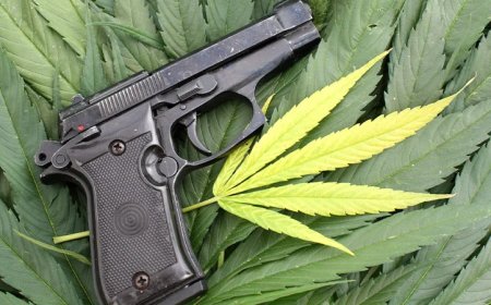 Supreme Court Rules Barring Guns From Marijuana Users Violates Second Amendment