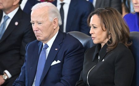 Dems raked in millions from employees at firms newly identified as 'Chinese military companies'