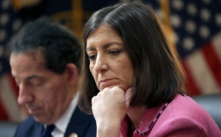 Ex-House Dem who ripped congressional stock trading ban as 'bull----' changes her tune in comeback bid