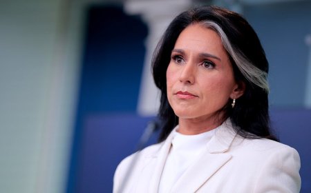 Gabbard spotlights Fauci, COVID-origin questions in final act as intelligence chief amid succession fight