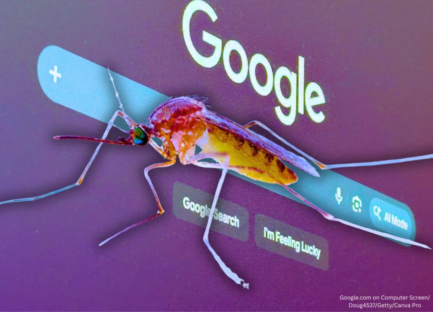 Google to Release 64 Million Bacteria-Infected Mosquitoes Across California and Florida Over the Next Two Years