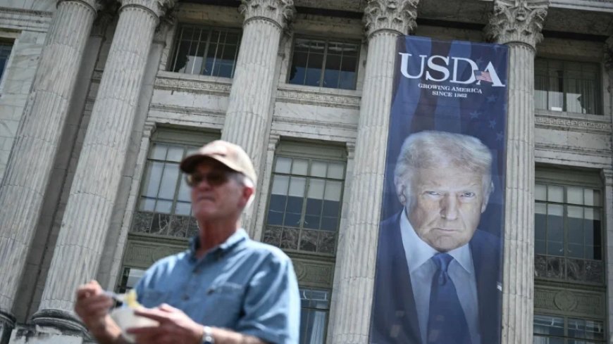 Judge Blocks USDA from Linking Federal Funds to Trump Policies on DEI and Immigration