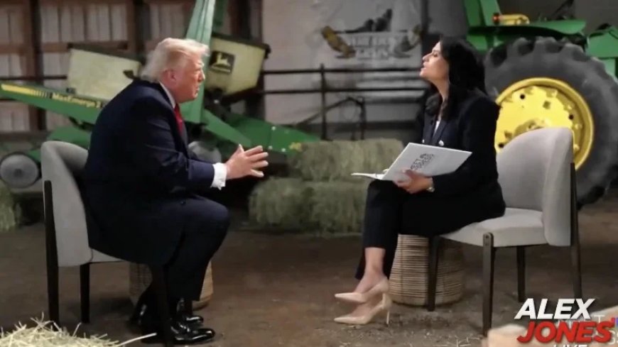 VIDEO: The Democrats Are Stealing The Election AGAIN