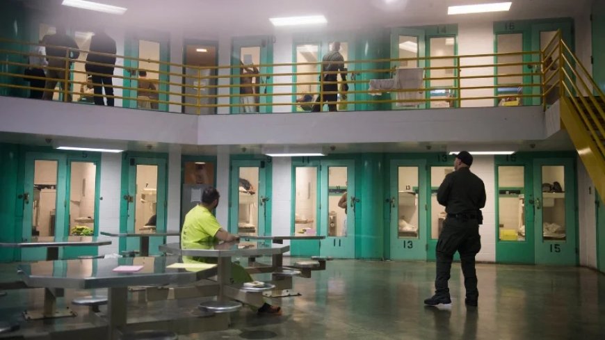 ICE Detention Numbers Slide