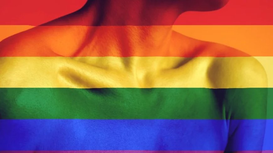 All-Ages LGBTQIAAP2SN+ Event Exposes Children To Pornography