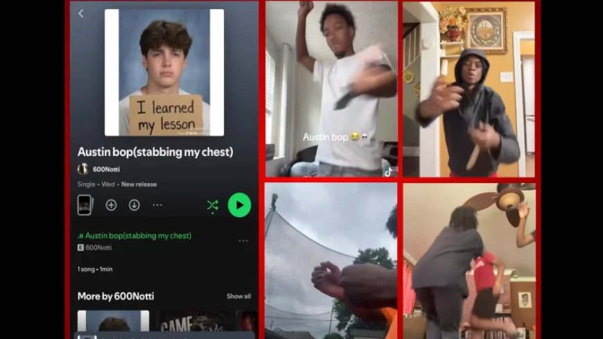 Sick TikTok Dance Trend The “Austin Bop” Has Black Teens Mocking Stabbing Murder Of Austin Metcalf