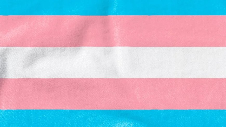 UK Tranny Story Highlights Media Credibility Collapse