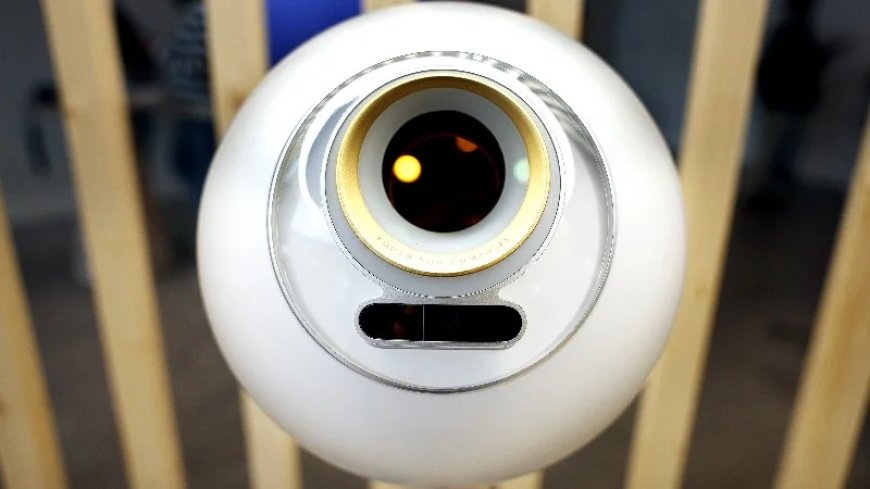 Sam Altman’s Eyeball Scanning Orbs Shift From Crypto Novelty To Human Verification Across Industries