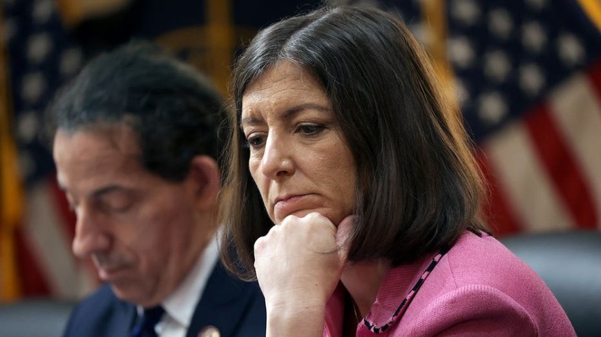 Ex-House Dem who ripped congressional stock trading ban as 'bulls---' changes her tune in comeback bid