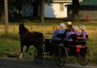 Bowne Report: NY Amish Caught In Vaccine Standoff