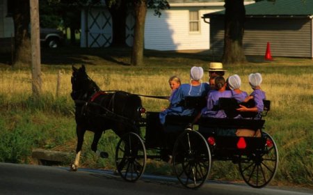 Bowne Report: NY Amish Caught In Vaccine Standoff