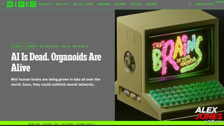 SCI-FI HORROR BECOMES REALITY!!! Lab-Grown Human Brains Are Now Powering Some Of The Most Sophisticated Data Centers In The World & Have Surpassed Silicon-Based AI Chip-Driven Systems!