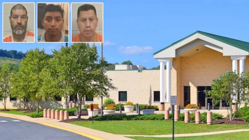ICE Pursuing Three Suspected Pedophiles Incarcerated at Central Virginia Jail