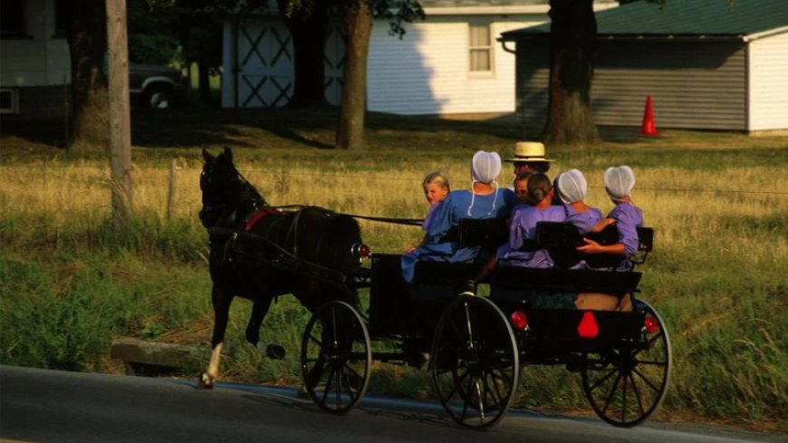 Bowne Report: NY Amish Caught In Vaccine Standoff