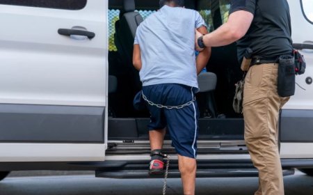 Mass Deportations: Main Focus Now Non-Criminals