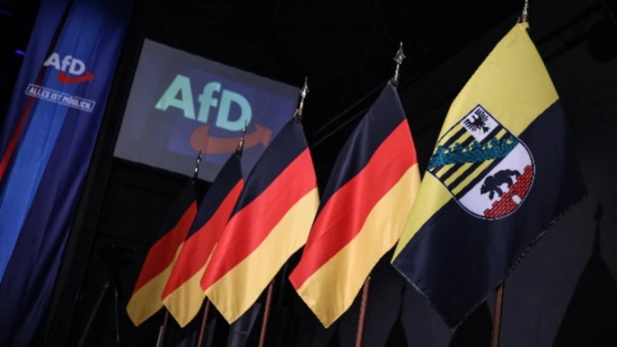 Nine Injured In Latest Attack Against AfD In Germany